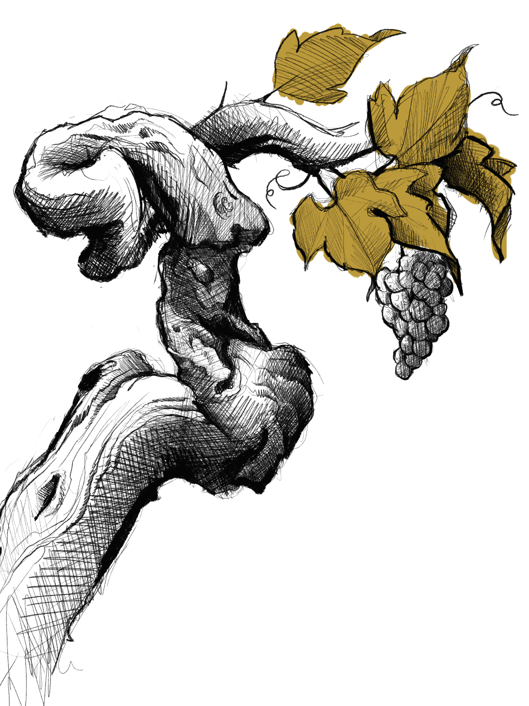 Goodvine's Weinsoda 0,33l
