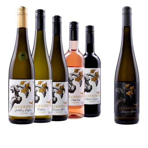 [GVS-KNLP-06V] Kennenlern - Bundle