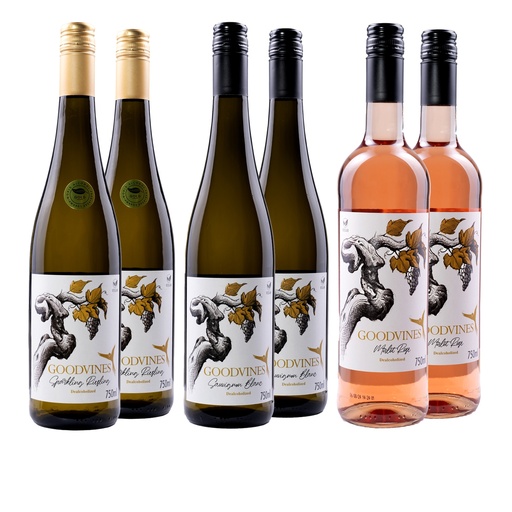 [GVS-SB-06V] Summer Bundle